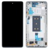 DISPLAY 11 T PRO SILVER